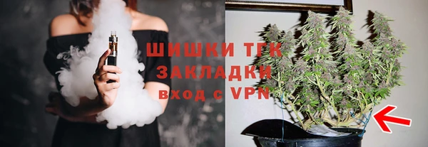 шишки Корсаков
