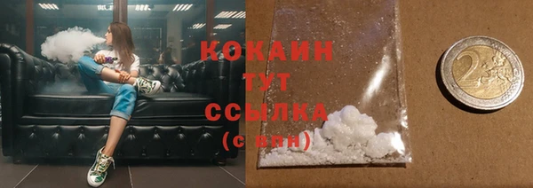шишки Корсаков
