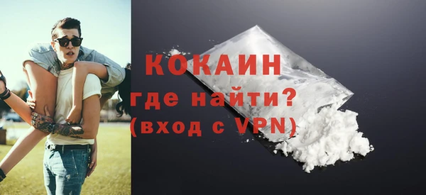 шишки Корсаков