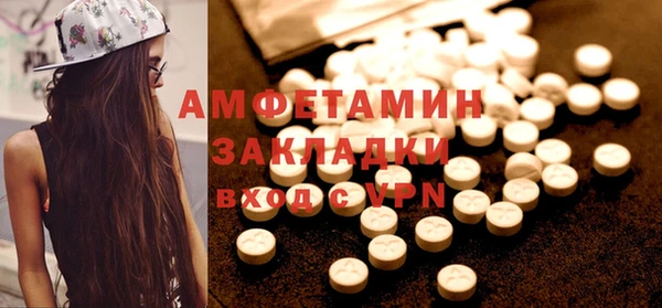 шишки Корсаков