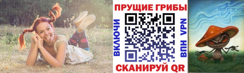 Псилоцибиновые грибы ЛСД даркнет сайт Усмань